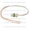 Lectric Limited 1988-1992 Chevrolet Corvette Light Bulb Socket: Spare Tire Light VRC8892ST