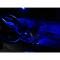 Corvette, Superbright LED Bulb Package, 1997-2004