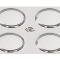 97-04 Polished Stainless Steel Slotted Tail Lamp Trim Rings